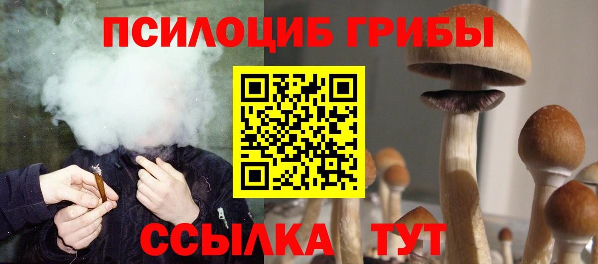 Псилоцибиновые грибы Magic Shrooms Кубинка