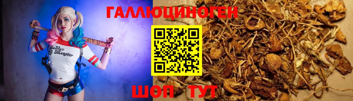 Кубинка  Галлюциногенные грибы мицелий  Вход с VPN 